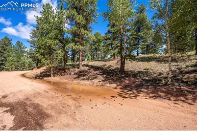 210 Donzi Trail, Florissant, CO 80816 - Photo 8