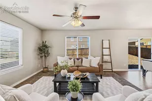 7916 Lightwood Way, Colorado Springs, CO 80908 - Photo 14