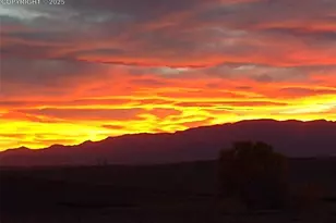 3915 S Meridian Rd, Colorado Springs, CO 80929 - Photo 48