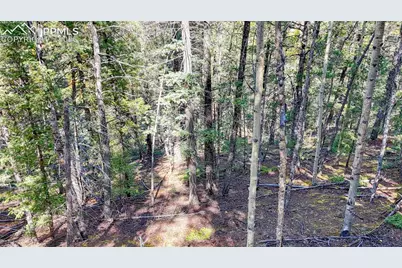 959 Calcite Drive, Divide, CO 80814 - Photo 14