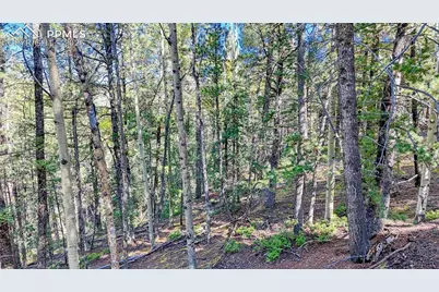 959 Calcite Drive, Divide, CO 80814 - Photo 46