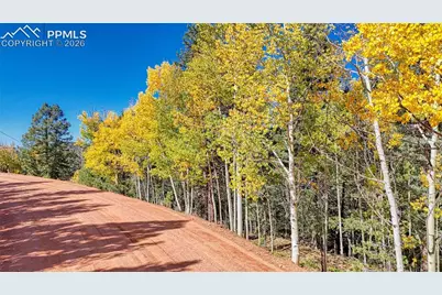 959 Calcite Drive, Divide, CO 80814 - Photo 8