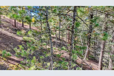 959 Calcite Drive, Divide, CO 80814 - Photo 42