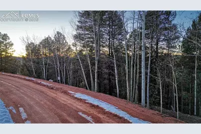 959 Calcite Drive, Divide, CO 80814 - Photo 30