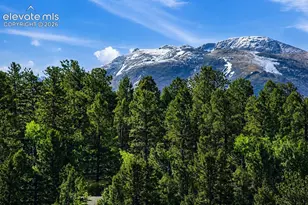 81 Pamona Lake Dr, Divide, CO 80814 - Photo 4