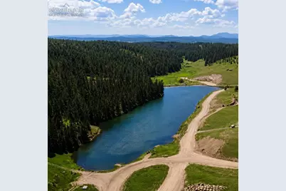 81 Pamona Lake Drive, Divide, CO 80814 - Photo 24