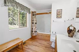 81 Pamona Lake Dr, Divide, CO 80814 - Photo 16