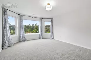 1005 Woodmoor Dr, Monument, CO 80132 - Photo 28