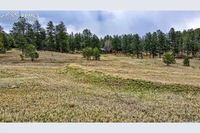 188 High Pasture Road, Florissant, CO 80816 - Photo 8