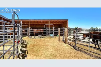 20152 Silverado Hill View, Colorado Springs, CO 80928 - Photo 34