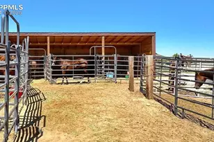 20152 Silverado Hill View, Colorado Springs, CO 80928 - Photo 34