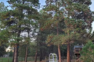 4673 Pinon Dr, Elizabeth, CO 80107 - Photo 8