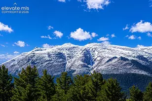 60 E Aspen Dr, Divide, CO 80814 - Photo 2