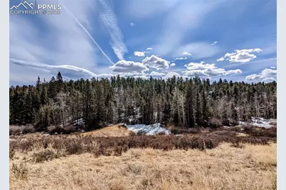 1620 Park Ridge Drive, Guffey, CO 80820 - Photo 2