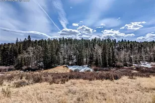 1620 Park Ridge Dr, Guffey, CO 80820 - Photo 1