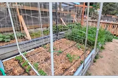 6417 Dewsbury Drive, Colorado Springs, CO 80918 - Photo 36