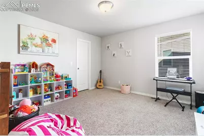 8426 Mayfly Drive, Colorado Springs, CO 80924 - Photo 24