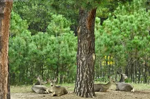 12855 Murphy Rd, Elbert, CO 80106 - Photo 50