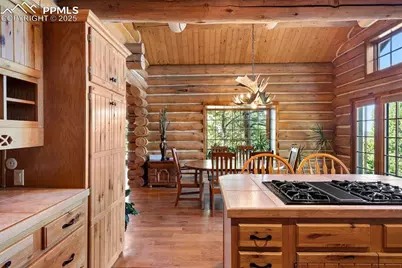 1010 Cantiberry Road, Divide, CO 80814 - Photo 20