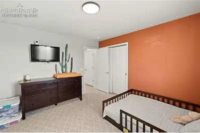 2220 Whale Point, Colorado Springs, CO 80951 - Photo 28