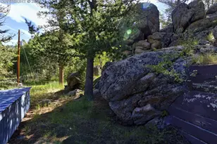 534 Brook Dr, Lake George, CO 80827 - Photo 42