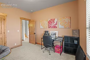 22350 Roxie Ridge View, Peyton, CO 80831 - Photo 38
