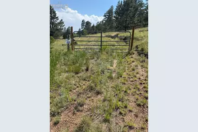 39 Rabbil Creek Trail, Florissant, CO 80816 - Photo 8