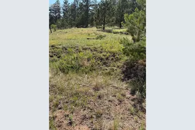 39 Rabbil Creek Trail, Florissant, CO 80816 - Photo 12