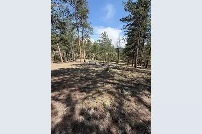 39 Rabbil Creek Trail, Florissant, CO 80816 - Photo 2