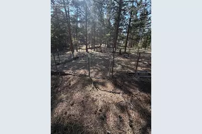 39 Rabbil Creek Trail, Florissant, CO 80816 - Photo 4