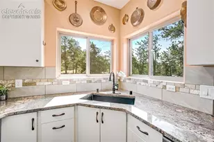 693 Black Mesa Cir, Florissant, CO 80816 - Photo 18