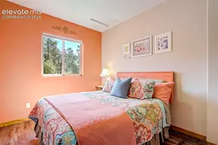 693 Black Mesa Cir, Florissant, CO 80816 - Photo 30