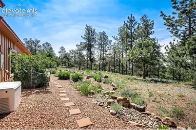 693 Black Mesa Circle, Florissant, CO 80816 - Photo 38