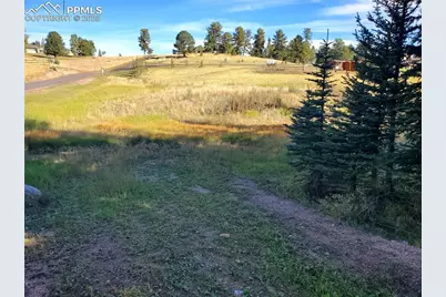 309 Pinaceae Heights, Divide, CO 80814 - Photo 20