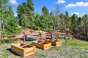 4269 County Road 51 Rd, Divide, CO 80814 - Photo 26