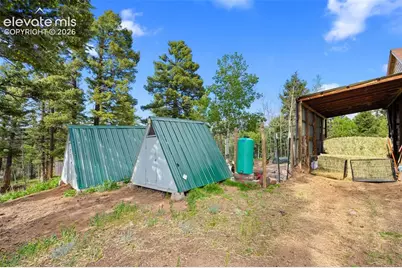 4269 Cedar Mountain Road, Divide, CO 80814 - Photo 26