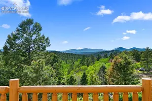 4269 Cedar Mountain Rd, Divide, CO 80814 - Photo 22