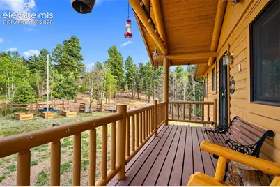 4269 Cedar Mountain Road, Divide, CO 80814 - Photo 4
