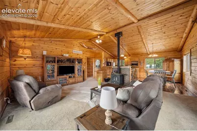 4269 Cedar Mountain Road, Divide, CO 80814 - Photo 6