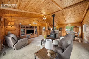4269 Cedar Mountain Rd, Divide, CO 80814 - Photo 6