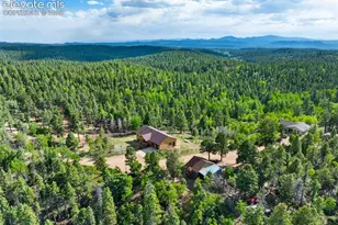 4269 Cedar Mountain Rd, Divide, CO 80814 - Photo 32