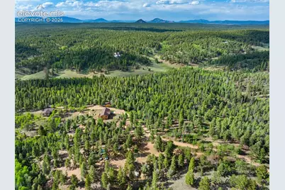 4269 Cedar Mountain Road, Divide, CO 80814 - Photo 36