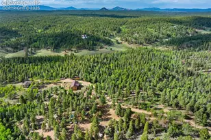 4269 Cedar Mountain Rd, Divide, CO 80814 - Photo 36