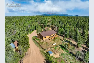 4269 Cedar Mountain Road, Divide, CO 80814 - Photo 30