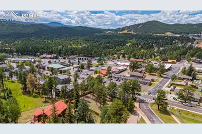 303 S Baldwin Street, Woodland Park, CO 80863 - Photo 28