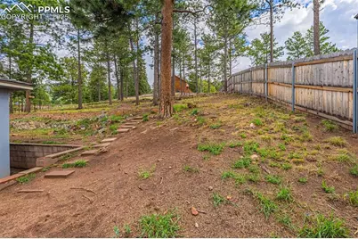 303 S Baldwin Street, Woodland Park, CO 80863 - Photo 22