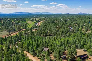 886 Cottonwood Lake Dr, Divide, CO 80814 - Photo 8