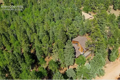 886 Cottonwood Lake Drive, Divide, CO 80814 - Photo 42