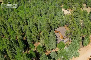 886 Cottonwood Lake Dr, Divide, CO 80814 - Photo 42