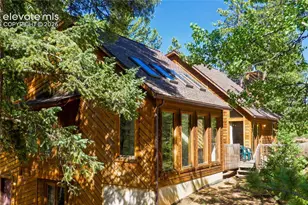 886 Cottonwood Lake Dr, Divide, CO 80814 - Photo 4